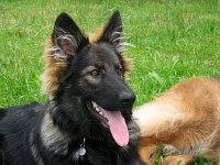 Ki-Shani